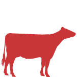 Red Dairy Cow Icon