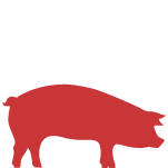 Red Pig Icon