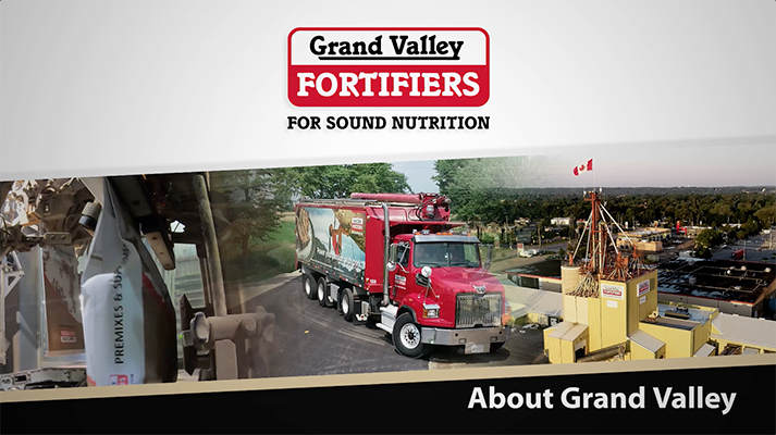 Who We Are - Introduction to Grand Valley Fortifiers