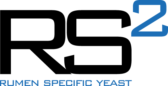 RS2 Logo