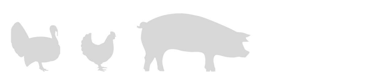 Swine & Poultry Icon