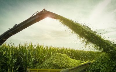 Forage and Corn Silage Quality in 2017