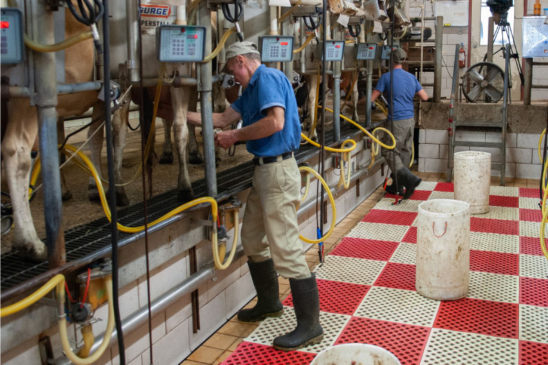 Farm Management: Planning for 2022 and Beyond