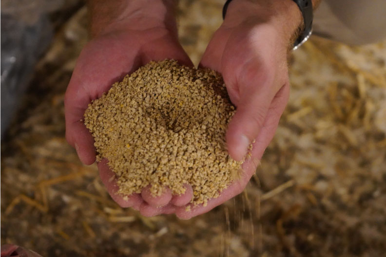 Coping with High Grain and Feed Commodity Prices
