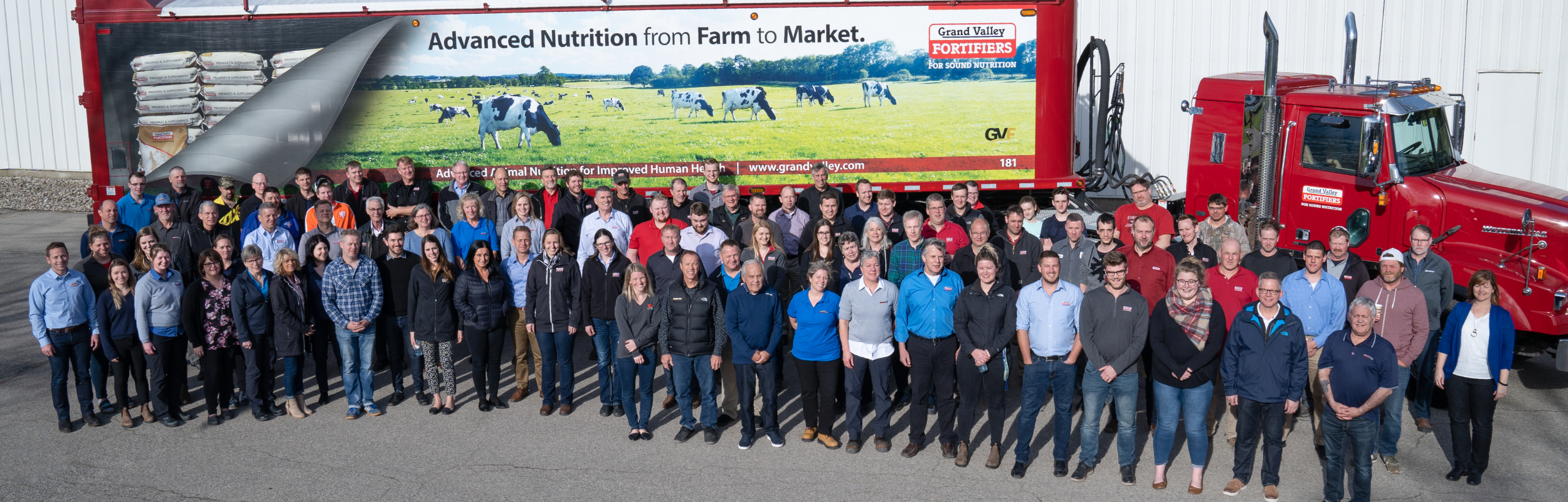 Meet the Team