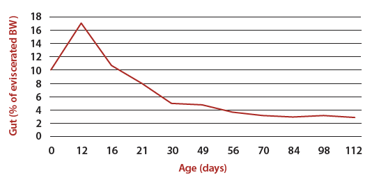PoultryGrist-GutHealth-Figure1