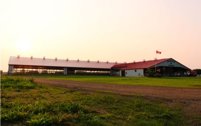 Dairy Farmers Shouldn’t Avoid Benchmarking