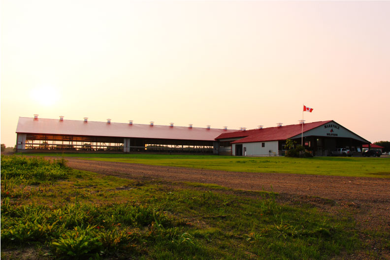 Dairy Farmers Shouldn’t Avoid Benchmarking