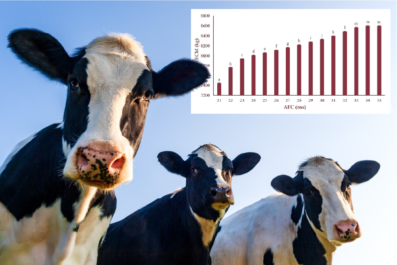 Heifer Growth – Do Our Heifers Measure Up?