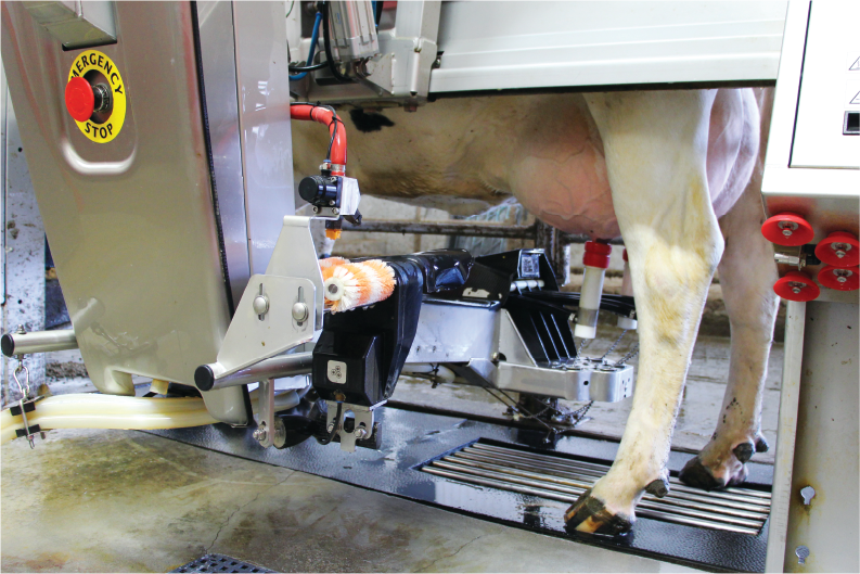 Robot Feed does not Always have to be a Pellet