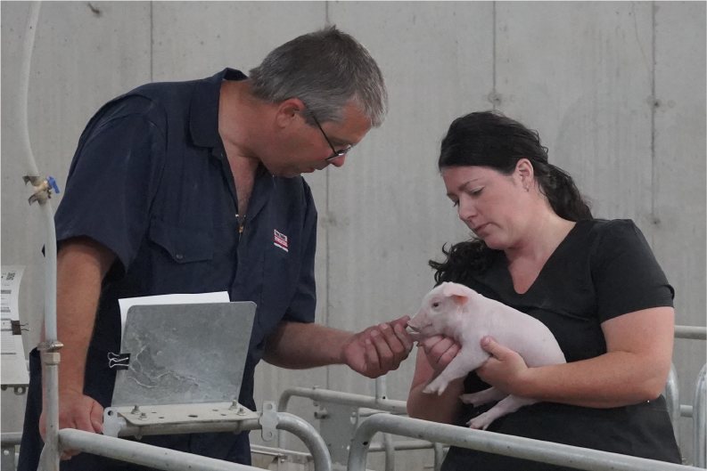 Tightening Our Belts: How to Get Back to the Basics of Swine Production and Save Money Doing it.