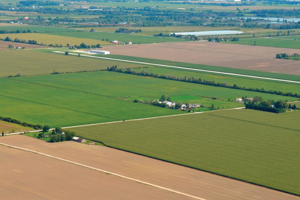 Commodity Prices Going Up, Up, and Away Grand Valley Fortifiers