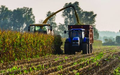 Silage Harvest Timing: Be Ready