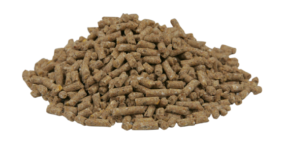 CalfNutrition_Pellet
