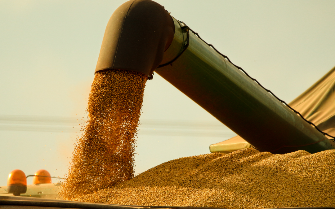High Oleic Soybeans – an exciting new ingredient!