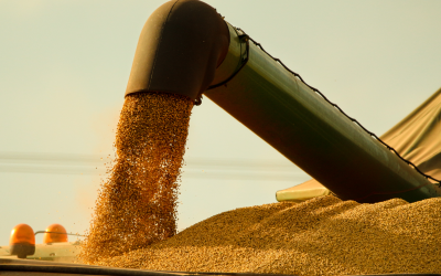 High Oleic Soybeans – an exciting new ingredient!